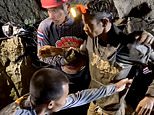 Rescuers free four men who had been trapped in flooded Laos cave for more than a week as two are still missing