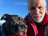 Jock the Staffie is lost in searing heat for three days – before thermal drone finds missing dog in just ten minutes