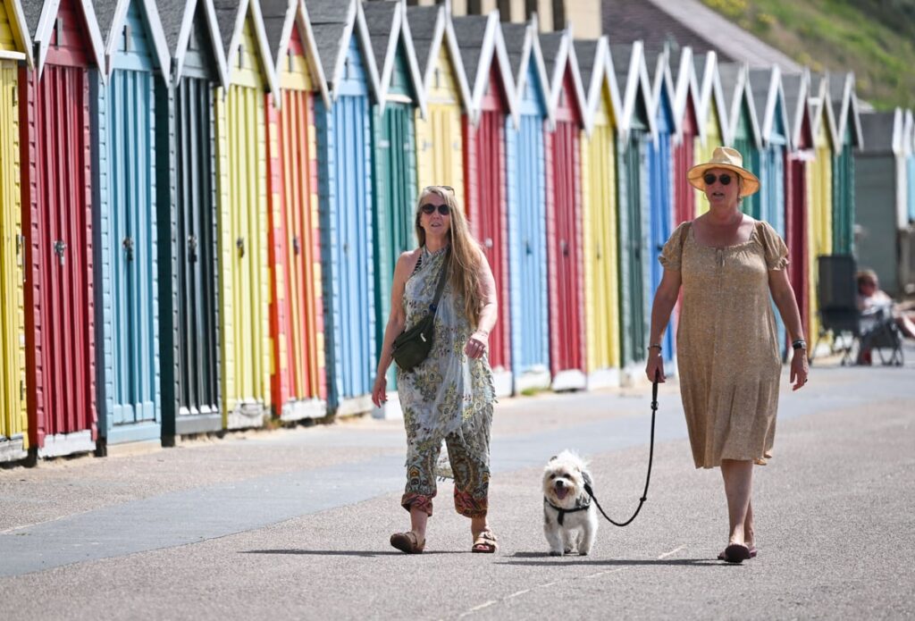 Heatwave paws for thought: The seven-second test to check if you should be walking your dog in hot weather