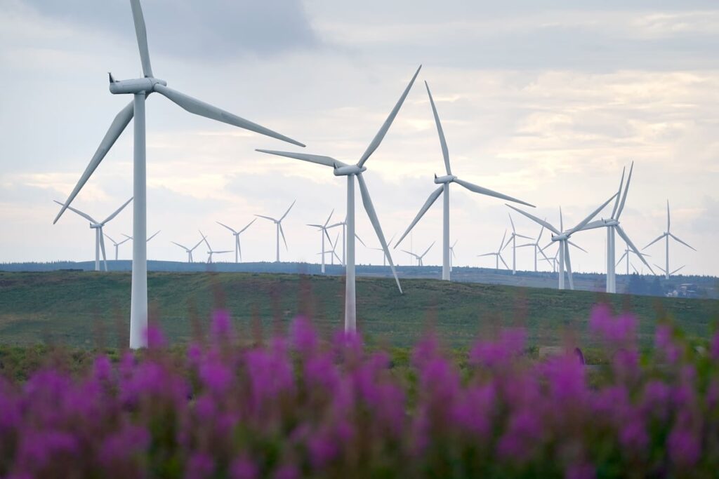 Clean power by 2030 target ‘extremely ambitious’, MPs warn