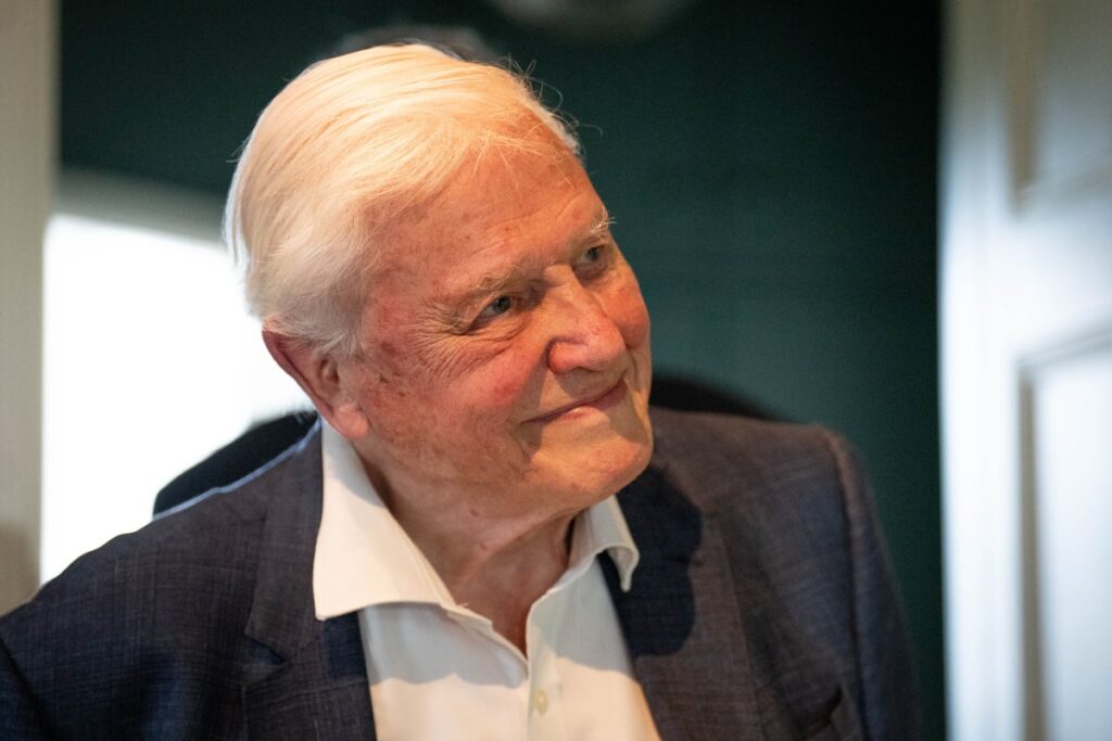 ‘National treasure’ and beloved naturalist Sir David Attenborough turns 100