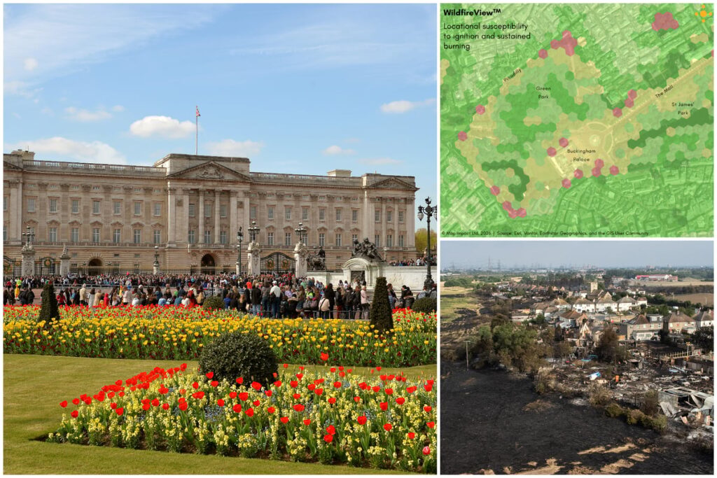 London heatwave: Wildfire threat to Buckingham Palace as climate change ‘turns Royal Parks into tinderboxes’