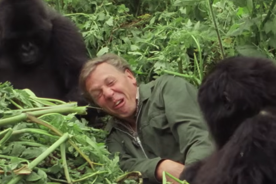 David Attenborough turns 100: The national treasure’s 10 most iconic moments