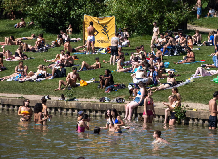 Hampstead Heath park rangers crack down on ‘selfish’ swimmers disturbing wildlife at bird sanctuary pond