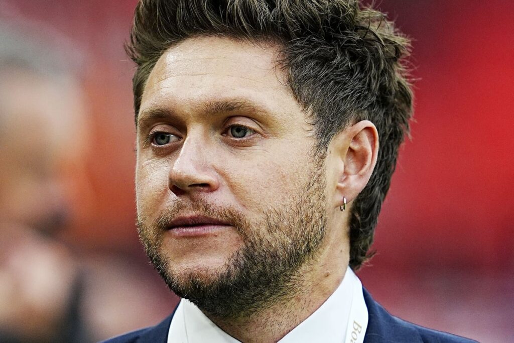 Niall Horan says his last memory with Liam Payne was ‘happy’