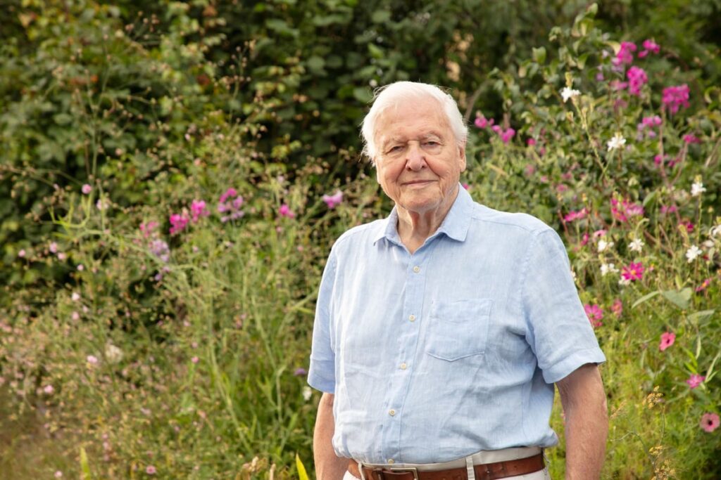 Sir David Attenborough celebrated for ‘lifetime of extraordinary service’