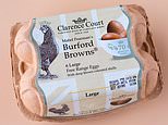 As Sainsbury’s dramatically STOPS selling brown eggs, Mail investigation reveals startling truth about what really goes into creating the wholesome looking shell and deep, golden yolk of middle-class favourite, Burford Browns
