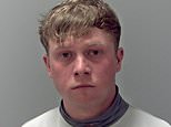 Jockey who killed pensioner, 71, after punching and shoving him to ground in brawl outside Newmarket pub is jailed for three years