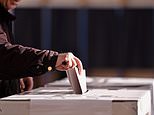 Who would you back in the Makerfield by-election if you had a vote?