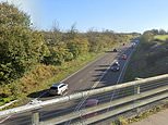Boy, eight, is dead and another is fighting for his life after a multi-vehicle crash in Cornwall