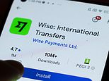 Wise sees £2bn wiped off its value as it is investigated in Belgium over money laundering claims