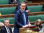 QUENTIN LETTS: The minister expressed his regret that so much detail had been expunged by jet-hoses filled with industrial grade Tipp-Ex