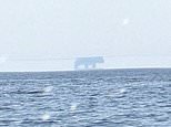High seas: Mind-boggling mirage off the coast of Cornwall leaves spectators baffled – as one claims it looks like a ‘huge bear on the horizon’