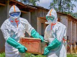 NHS warns staff to ‘prepare for Ebola outbreak in the UK’ as eye-bleeding disease kills hundreds in Africa: ‘Stock up on PPE and isolate patients ASAP’