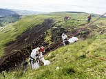 Volunteer teams toil to finally clear flytippers’ ‘river of rubbish’ that was dumped on picturesque Welsh mountain and could be seen as far as five miles away
