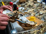 How to stop food poisoning ruining your summer holiday – experts reveal what not to order while abroad…and whether tap water is safe to drink