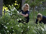 Preparations for Peter Phillips and Harriet Sperling’s intimate Royal Wedding are in full swing as trucks full of white flowers arrive at Cotswolds church