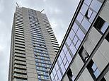 Revealed: Family of three who plunged 400ft from 36th floor of a London tower block to their deaths were wealthy – and lived in luxury apartment