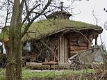 Holiday home owners sue J2O maker Britvic for damages after firm ‘used their “Magic Mushroom Cabin” to promote competition without permission’