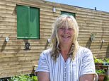 Widow who bought fly-tipped wasteland for £57,000 and turned it into farm for schoolchildren is ordered to tear it up by jobsworth council – so now travellers want to move in