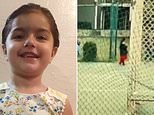 Their little girl vanished from a playground. Now her father reveals the chilling clue that may have been living right next door