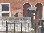 Moment masked thugs smash windows of Belfast house with wheelie bin in night of fury as rioters target migrants’ taxpayer-funded homes after asylum seeker knife attack
