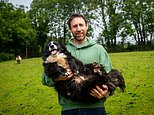 When animal rights go wrong: From rescuing racing snails to a sheepdog reported for rounding up sheep, the human interventions that lack any common sense