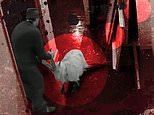 The troubling CCTV footage showing two men dragging a distressed goat into a London office… so is a satanic cult sacrificing animals in the city? FRED KELLY uncovers skulls, voodoo ‘bits’ and a mystery ‘priest’