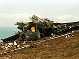 Now ANOTHER member of the review panel that cleared pilots calls for Chinook inquiry