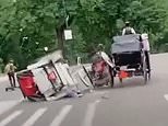 Teenage tourist killed after carriage horse bolts from driver in Central Park as terrifying footage shows moment coach flips