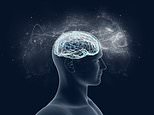 Scientists propose radical new theory of consciousness – and claim it doesn’t depend on flesh and blood