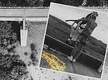 The four mistakes that led to bungee tragedy on Skeleton Bridge: FRED KELLY saw the scene for himself, now he retraces the prelude to disaster. So was it really an accident?