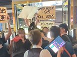 Moment anti-greyhound racing protesters storm Hard Rock Café with placards and megaphones as confused diners watch on