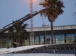 Spain-Gibraltar border checks set to be removed under new Brexit deal