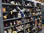 A prosthetic leg, £6k cash in a plastic bag and a stuffed puffer fish… Inside TFL’s ‘wacky and wonderful’ lost property hub