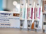 One in five Brits back ‘fat jab menus’ at restaurants as Ozempic-style drugs change how we eat, study reveals