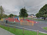 Urgent hunt launched after girl, 11, ‘sexually assaulted near playground in broad daylight’