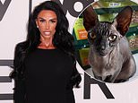Katie Price says two of her cats ‘have gone missing or been stolen’ – just days after her husband Lee Andrews claimed one had died
