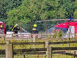 Woman pilot, 40s, dies when her light aircraft crashes near airfield