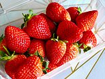 Are strawberries as healthy as we think? Experts reveal the benefits of Wimbledon’s favourite fruit – and who shouldn’t overindulge