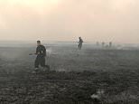 Major fire rips through almost 1,000 acres of moorland as experts warn Labour’s ‘rewilding’ drive risks fuelling deadly wildfires