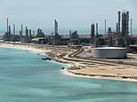 At least 14 killed after helicopter belonging to world’s largest oil company crashes in Saudi Arabia