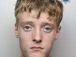 Teenager, 17, who ‘idolised serial killers’ and threatened to blow up his college is jailed for almost four years