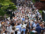 Serving up a bargain! Stampede to one of Wimbledon’s poshest restaurants as error forces it to sell wine for rock-bottom price