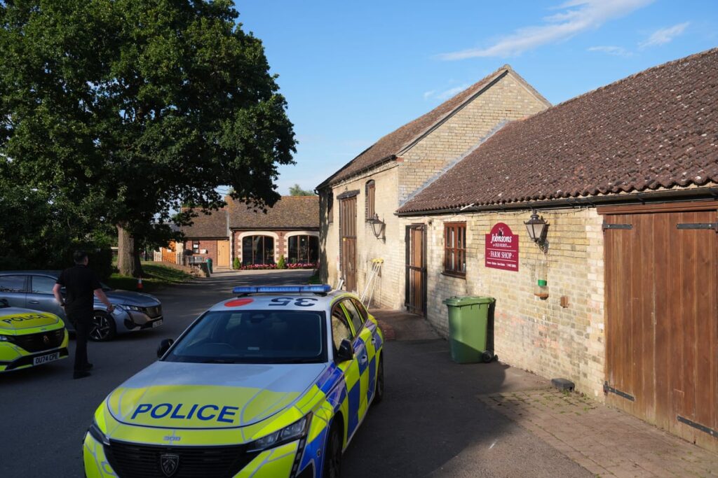 Attempted murder arrest after boy, three, ends up in crocodile enclosure at zoo