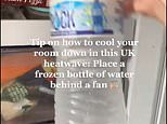 Heatwave hack could prove DEADLY: ‘DIY AC unit’ trend leaves users at risk of electric shocks, experts warn