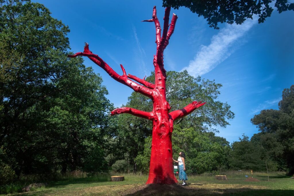 London could lose most of its trees by 2090 due to climate change