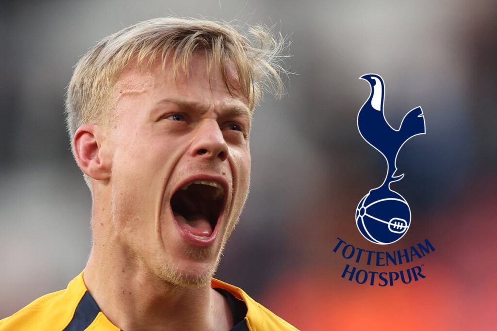 Tottenham see second bid for Paul Jan van Hecke rejected by Brighton