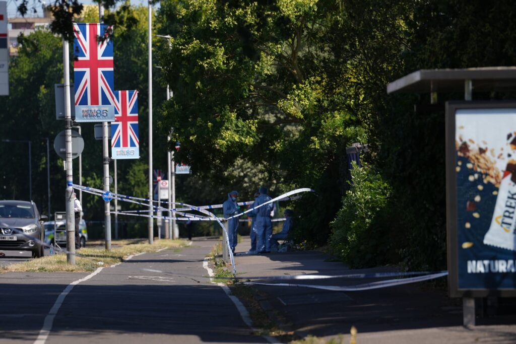 Man charged with murder after young mother fatally stabbed in west London