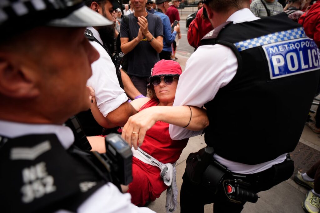 Over 100 arrested at London Palestine Action demo as co-founder told she can challenge terror ban at Supreme Court